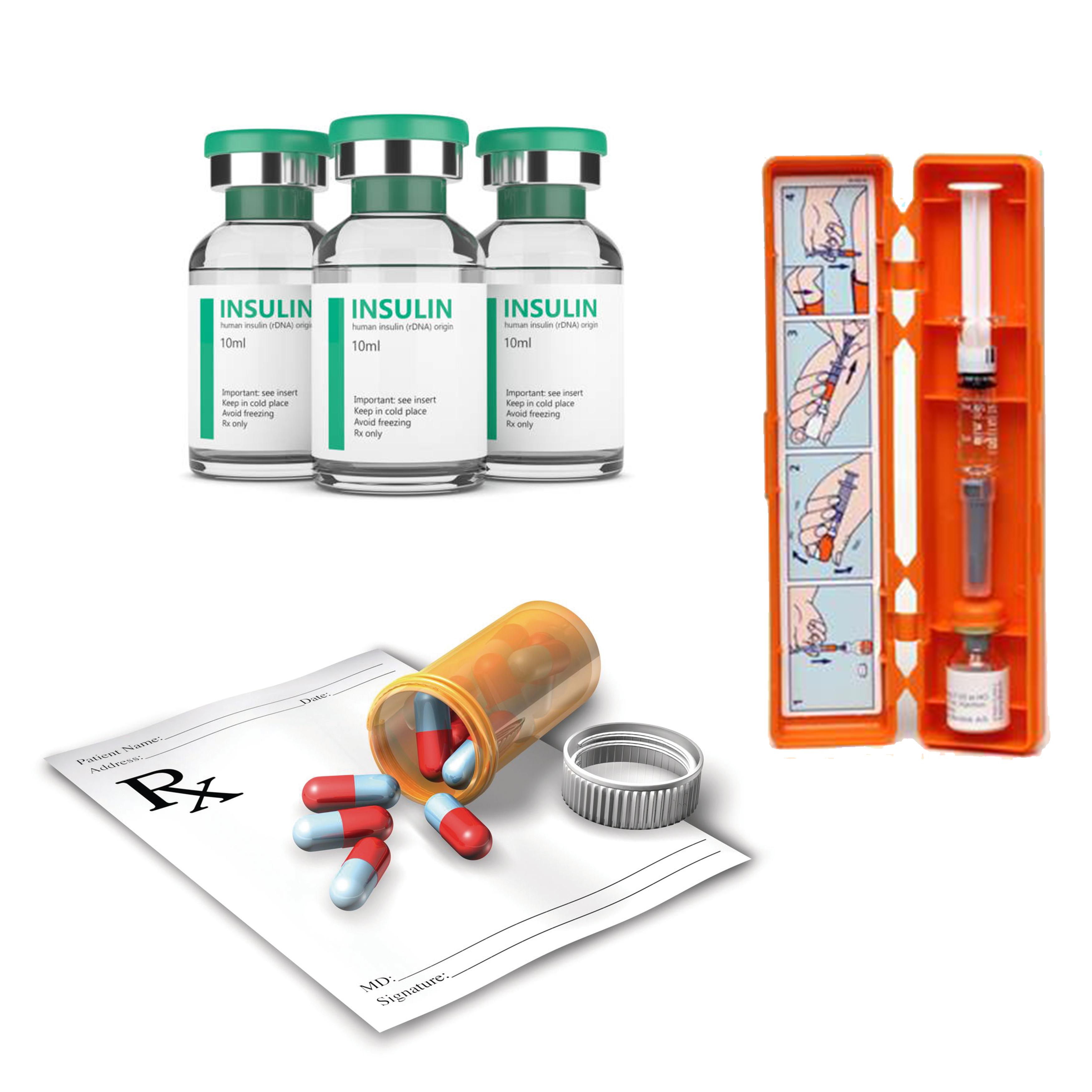 Endocrine (Gland) & Metabolics