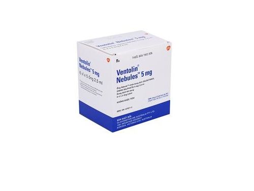 VENTOLINE NEBS 5.0MG/2.5ML / PACK OF 20