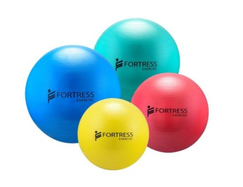 FORTRESS EXERCISE AND POSTURE BALL 